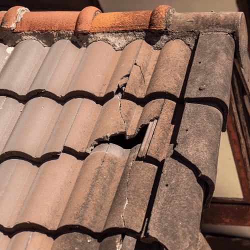 Pourquoi rénover ou entretenir votre toiture ?